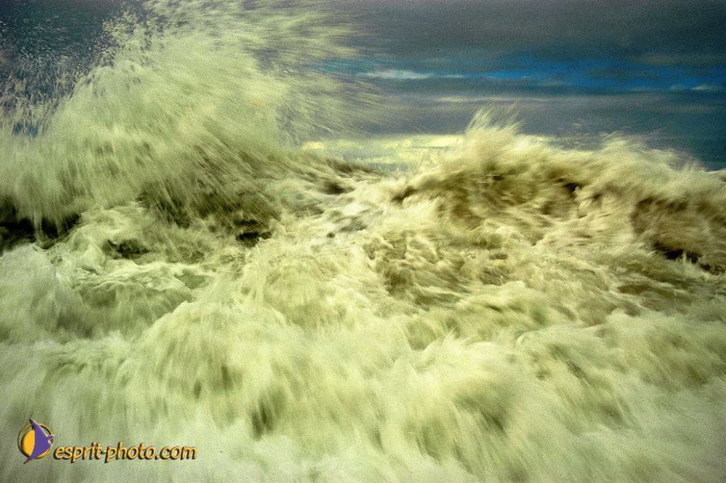 Nom de l'image : EP08-0369_(c)Norbert-JUNG — Description :